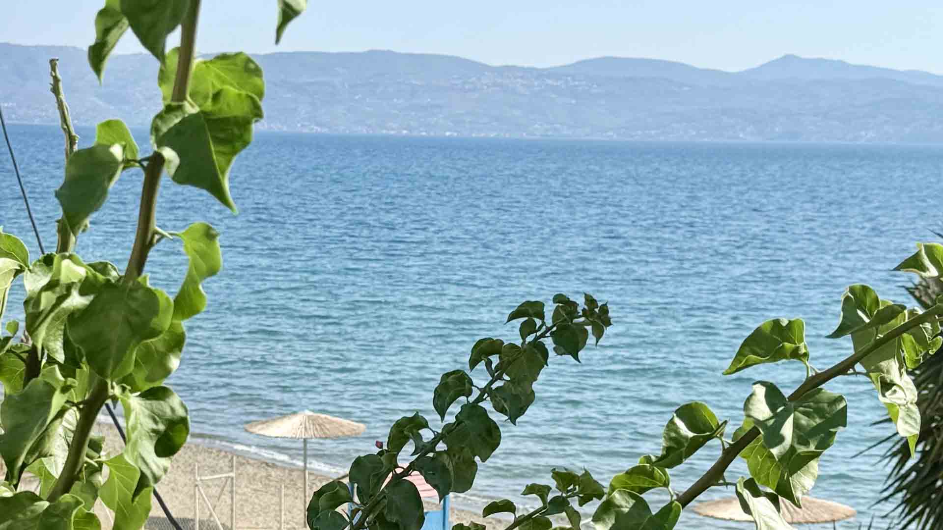 view form the balcony